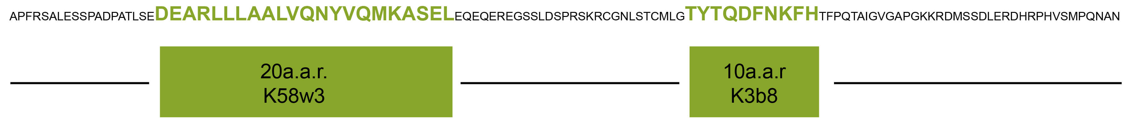 PCT抗体识别位点