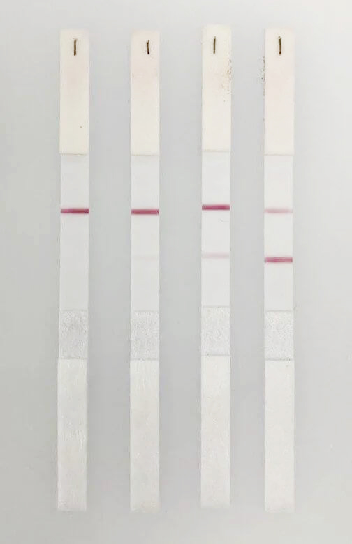 新冠病毒IgG/IgM检测大板