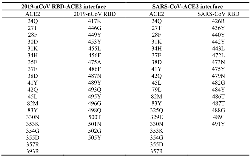 2019-nCoV RBD/ACE2和SARS-CoV RBD/ACE2的接触残基