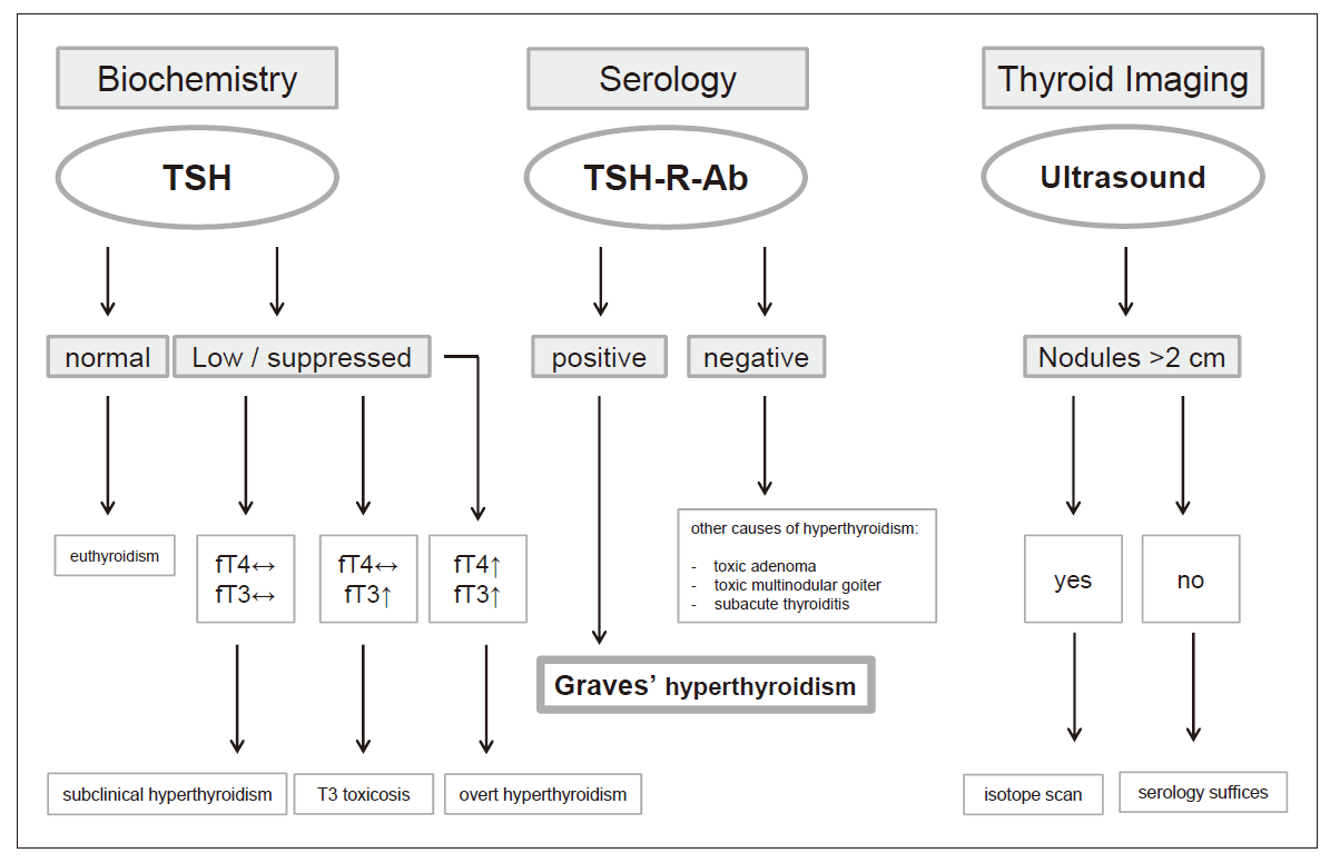 Graves病诊断流程[1]