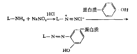 重氮盐偶联法