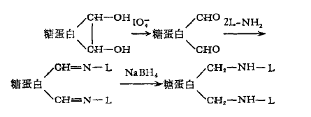 过碘酸盐氧化结合法