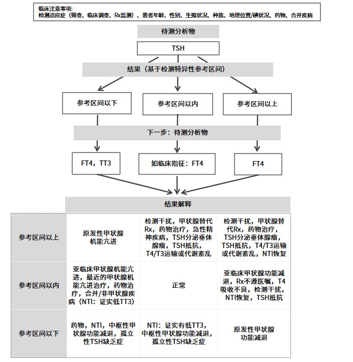 TSH和甲状腺激素测量临床算法