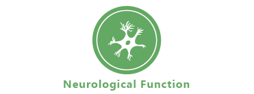 Neurological Function
