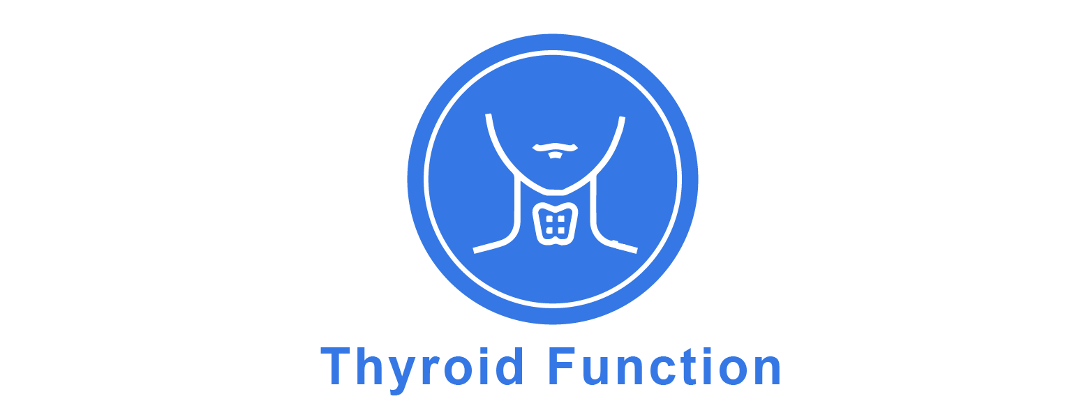 Thyroid-Function
