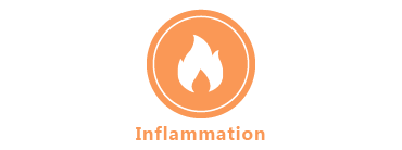 Inflammation