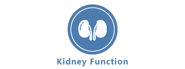 Kidney