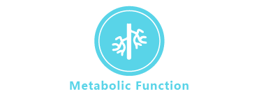 Metabolic Function