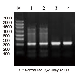 热启动酶在难度模板PCR中的应用