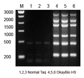 热启动酶在多重PCR中的应用