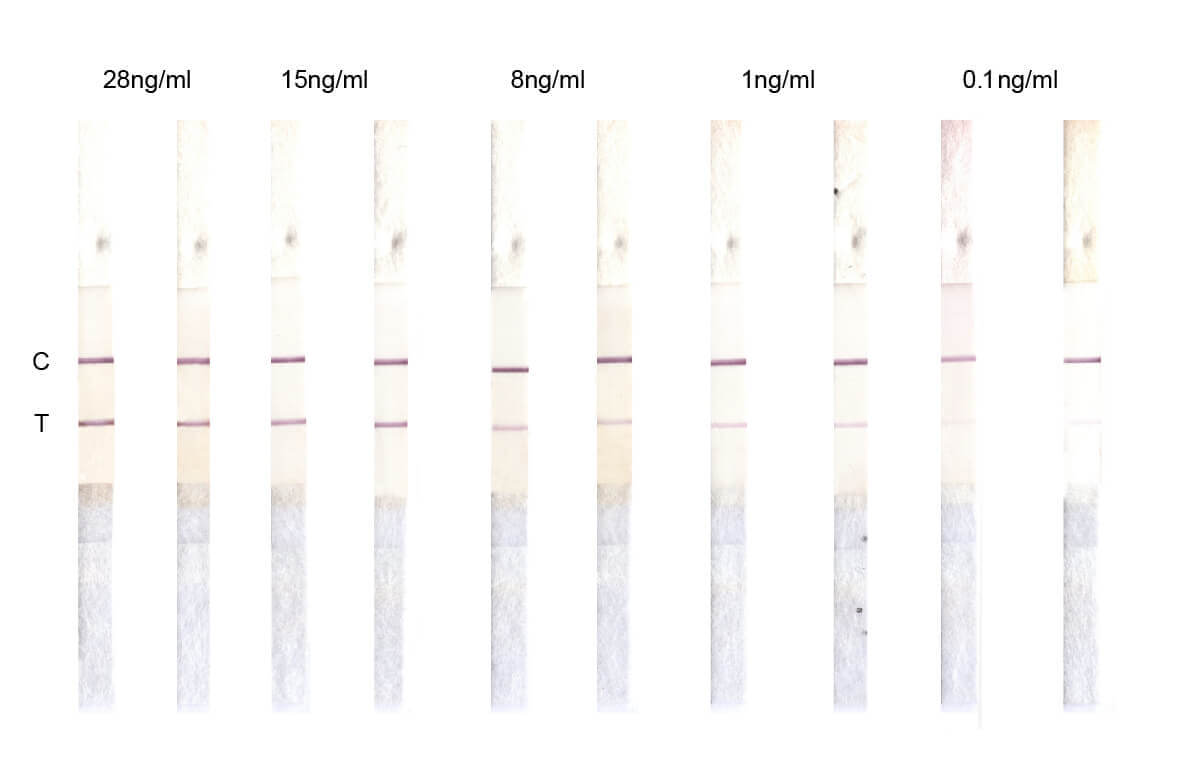 南京欧凯生物的降钙素原（PCT）抗体在胶体金平台验证分析图