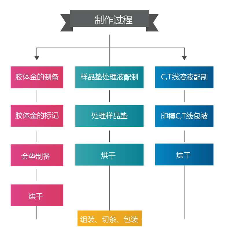 胶体金试纸条的制备过程