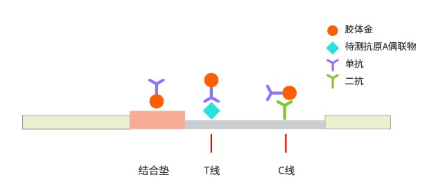 竞争法胶体金检测平台