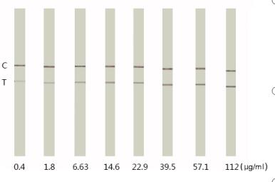 Colloidal gold-based immunochromatographic test trip