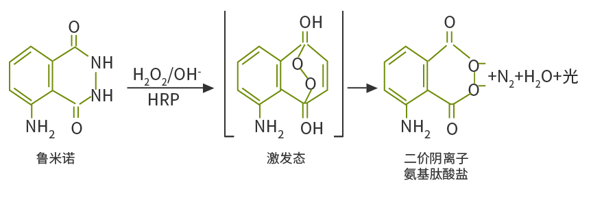 鲁米诺发光原理