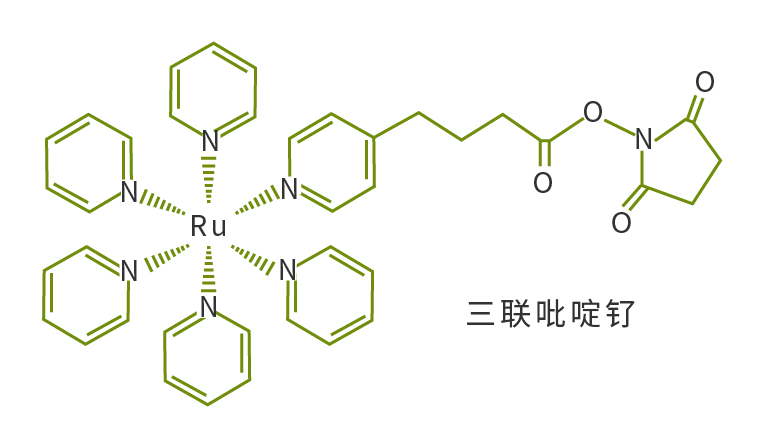 三联吡啶钌发光原理