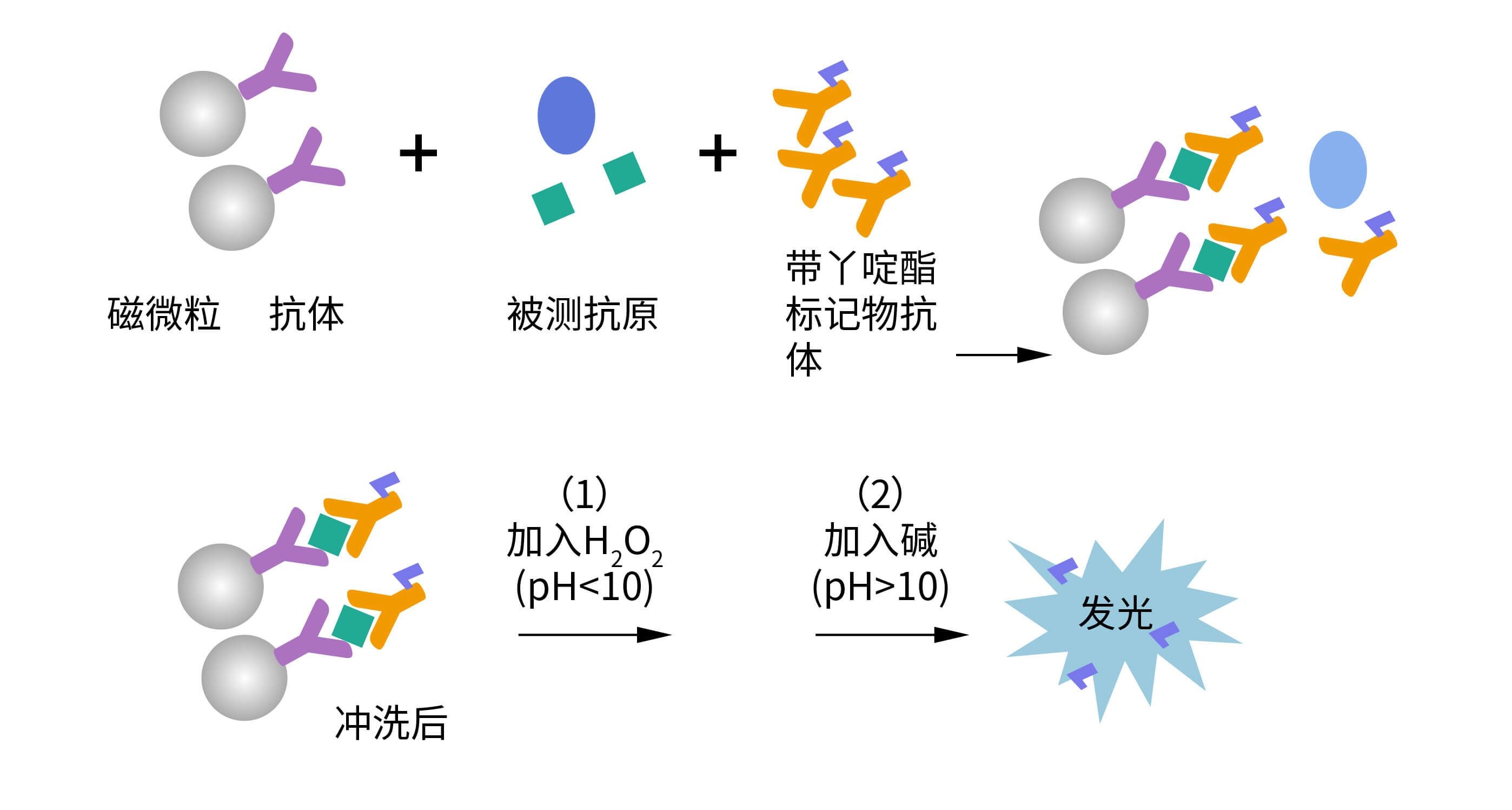 化学发光检测平台