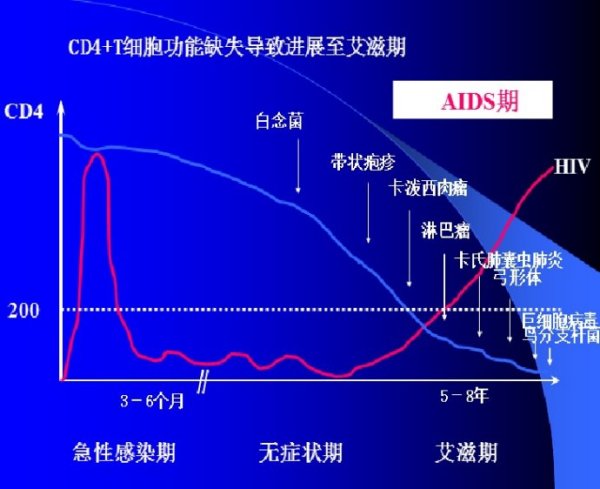 HIV感染下CD4+T细胞计数变化