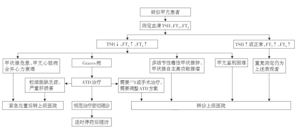 甲亢诊断流程