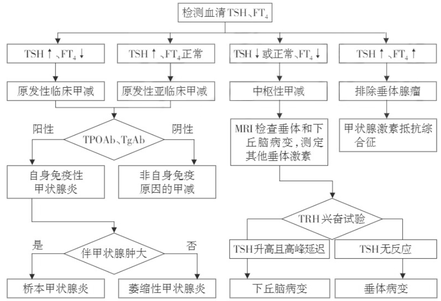 甲减诊断流程