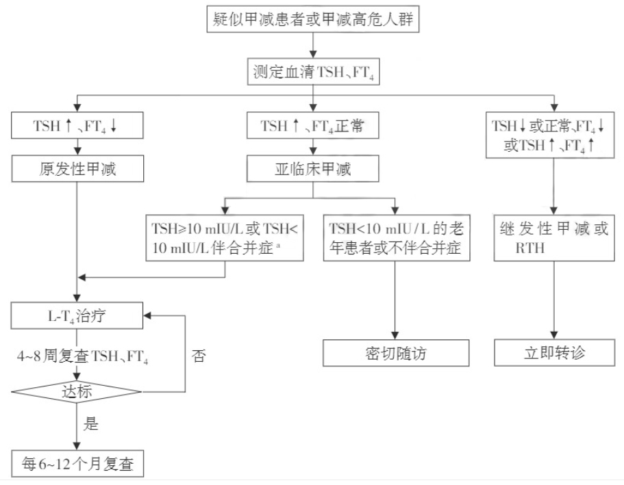 基层甲减患者管理流程