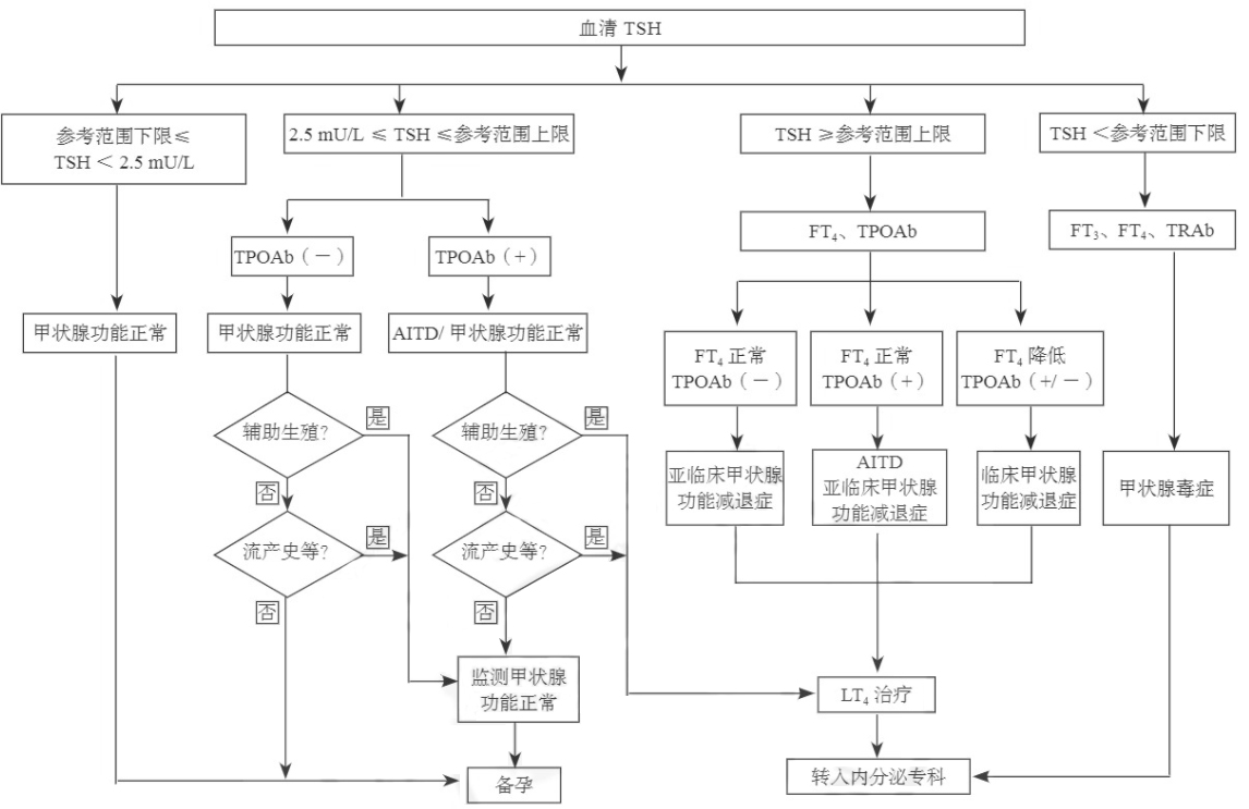 孕前血清TSH筛查、诊断和管理流程