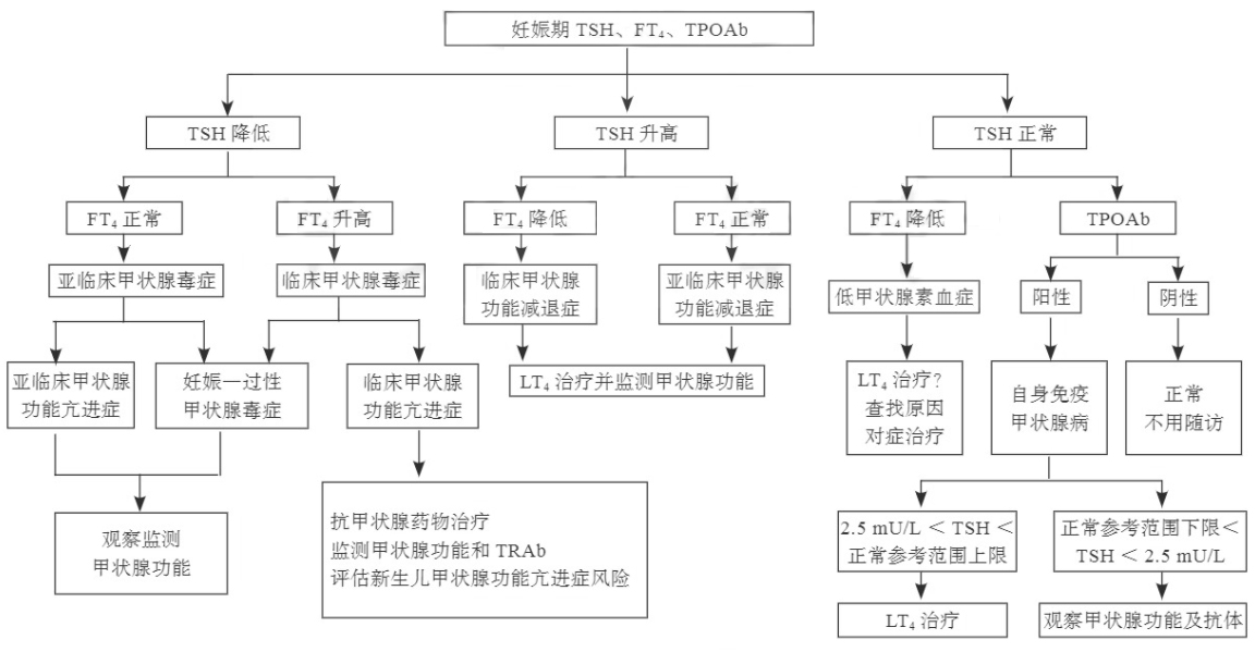 妊娠期甲状腺疾病诊治流程图