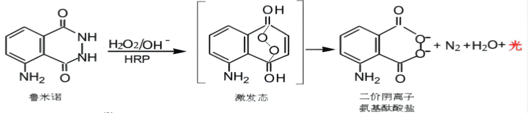 鲁米诺发光原理