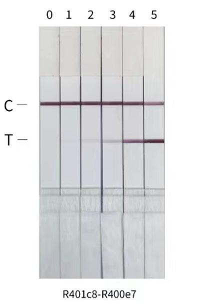 Fig5