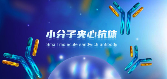 南京欧凯生物成功突破小分子夹心抗体技术开发壁垒!!!