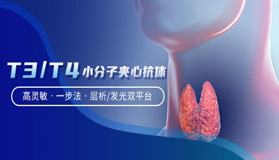 【小分子夹心法】甲功T3/T4，高灵敏&一步法