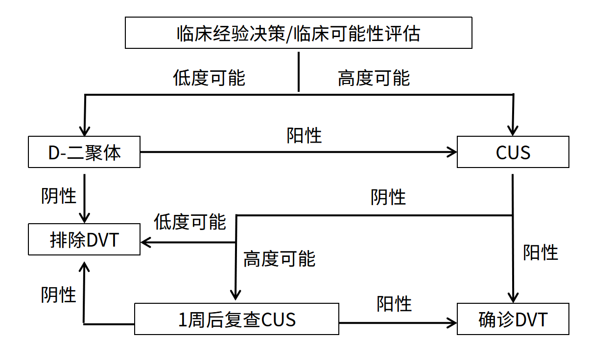 DVT综合评估和诊断流程
